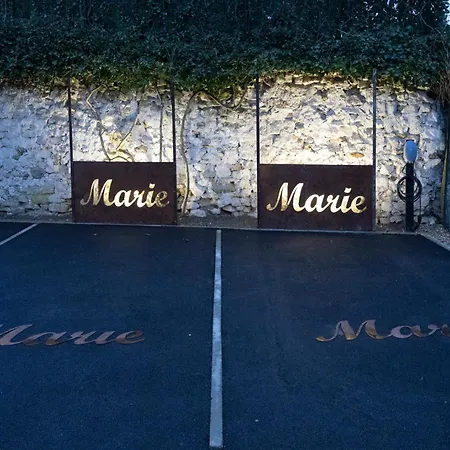 Le Jardin De Marie - 30 Min - Clim & Wifi Villa Germigny-l'Eveque